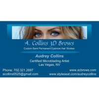 Audrey Elaine Artistry (formerly A. Collins 3D Brows) Logo