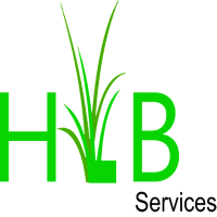 HLB Services Logo