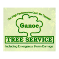 Ganoe Tree Services Logo