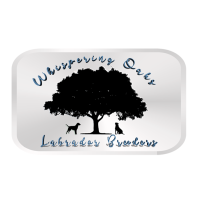 Whispering Oaks Labrador Breeder Logo