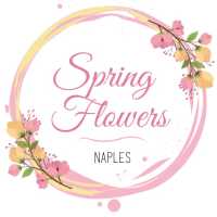Spring Flowers Logo