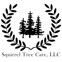 Squirrel Tree Care, LLC Logo