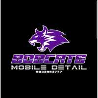 Bobcats Mobile Detail Logo