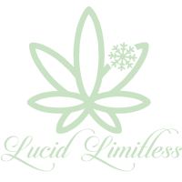 Limitless Pediatric Therapy Logo