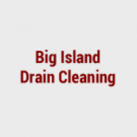 Big Island Drain Cleaning Logo