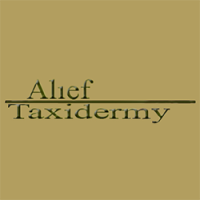 Alief Taxidermy Logo