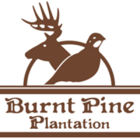 Burnt Pine Plantation Logo