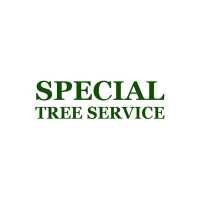 Special Tree Service Logo
