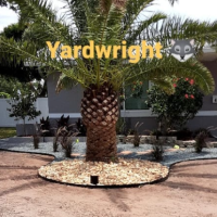 Yard Wright Lawn and Landscaping Logo