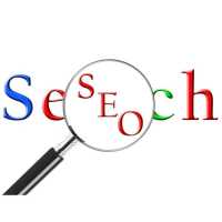 Cyber Search SEO, LLC Logo