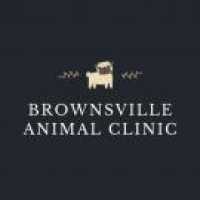 Brownsville Animal Clinic Logo
