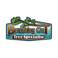 Branching Out Tree Specialist Logo