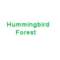 Hummingbird Forest Logo