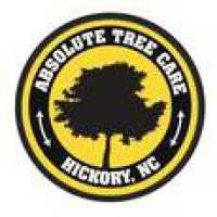 Absolute Tree Care of Hickory LLC Logo