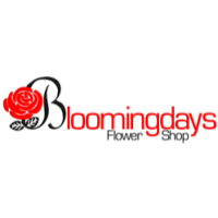 Bloomingdays Wesley Chapel Logo