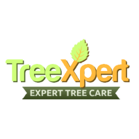 TreeXpertAtlanta Logo