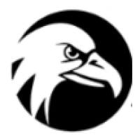 Eagle Eye Home Inspection Logo