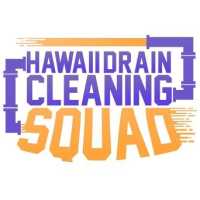 Hawaii Drain Cleaning Squad LLC Logo
