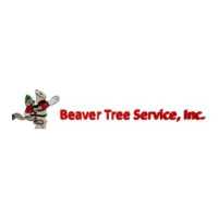 Beaver Tree Service, Inc. Logo