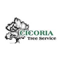 Cicoria Tree and Crane Service, Inc. Logo