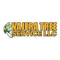 najera tree servce Logo