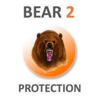 Bear2 Protection, LLC Logo