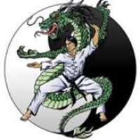 Twin Dragon Martial Arts Logo
