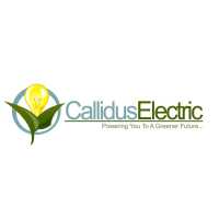 Callidus Electric - The Best Electrician, Electrical Contractor, 24/7 Service Logo