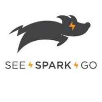 See.Spark.Go Logo