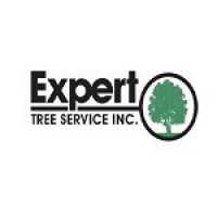 Expert Tree Service, Inc Logo