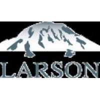 Larson Medical Aesthetics Logo