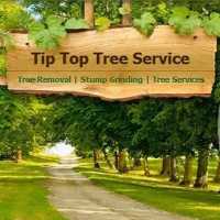 Tip Top Tree Service Logo