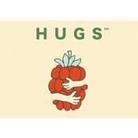 Hugs Wellness Logo