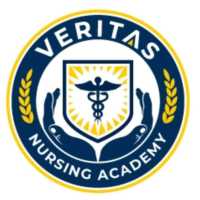 Veritas Nursing Academy Logo