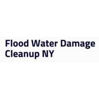 Water Cleanup Long Island Logo