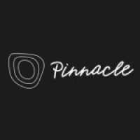 Pinnacle Autism Therapy Logo