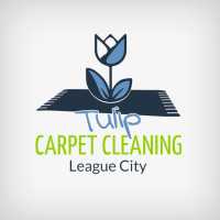 Tulip Carpet Cleaning League City Logo