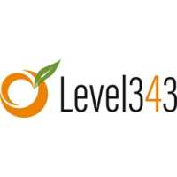 Level343 LLC - International Marketing & SEO Company Logo