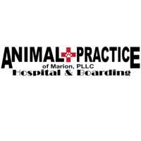 Animal Practice Of Marion Hospital & Boarding Logo