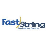 FastString Professional Services - Commercial Security Cameras Houston Logo