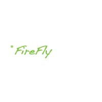 FireFly Facilitation Inc. Logo
