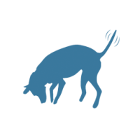 Austin SEO Dogs Logo