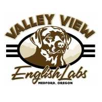 Valley View English Labs Logo