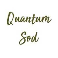 Quantum Sod Logo