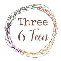 Three 6 Teen Boutique Logo