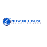 Networld Online Logo
