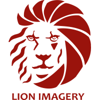 Lion Imagery LLC Logo