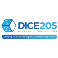 Dice205 Digital Solution Logo