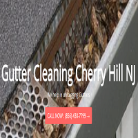 Gutter Cleaning Cherry Hill Logo