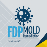 FDP Mold Remediation of Brooklyn Logo